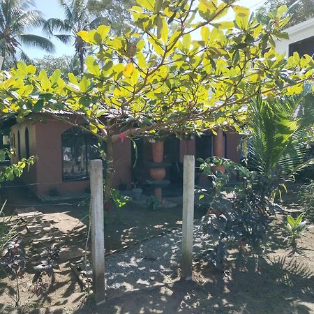 Micheck Beach House トルトゥゲーロ エクステリア 写真