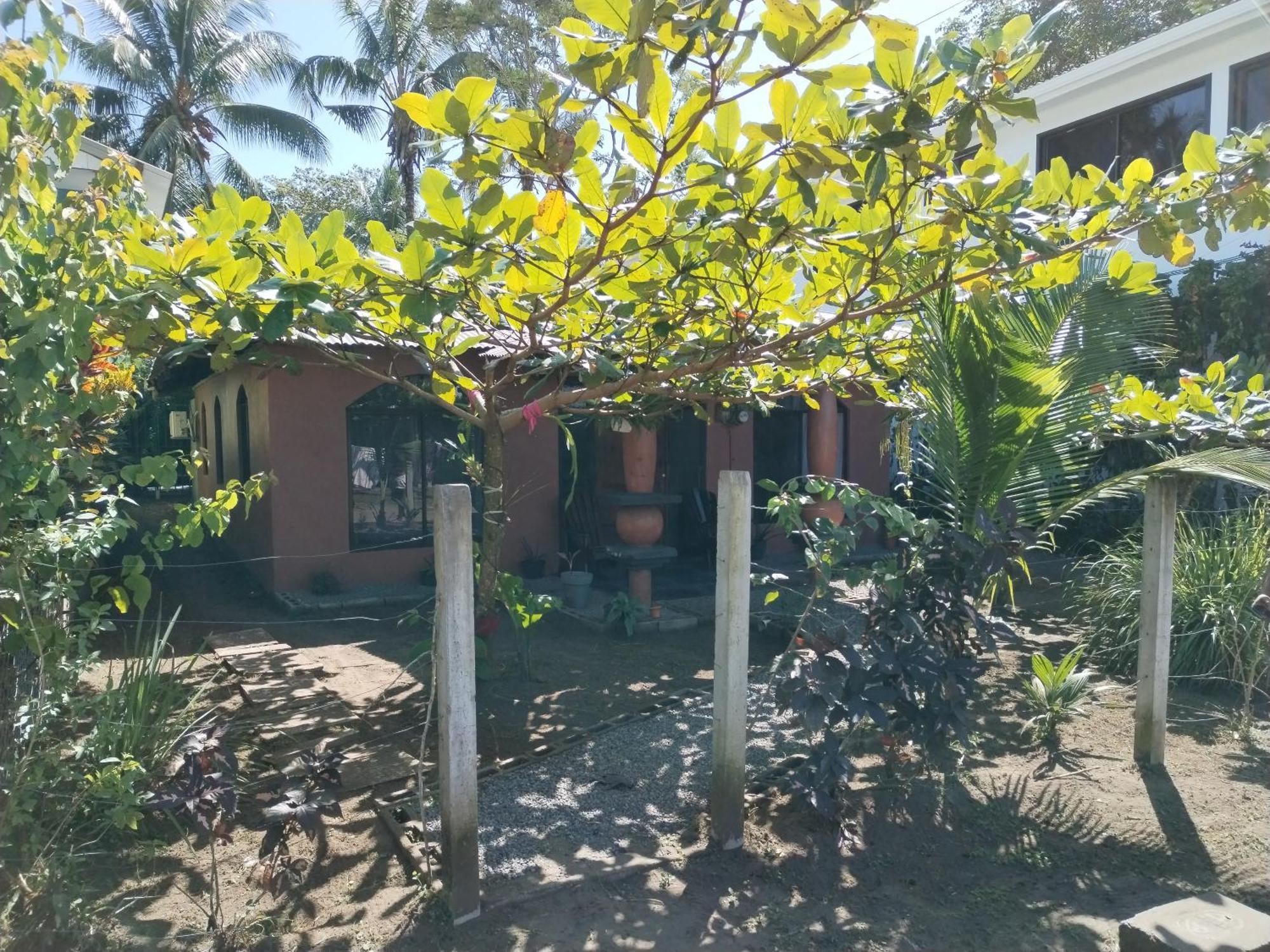 Micheck Beach House トルトゥゲーロ エクステリア 写真